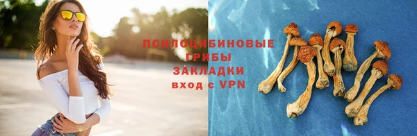 spice Кулебаки