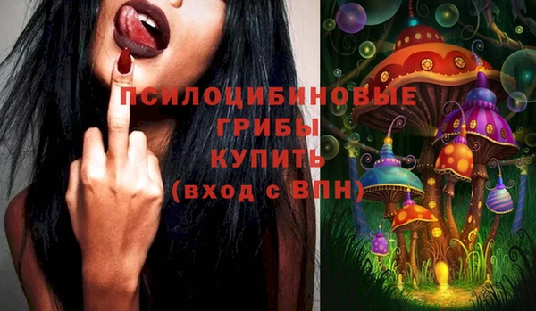 spice Кулебаки