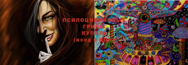 spice Кулебаки
